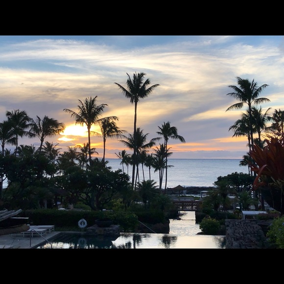 Meet your Posher, New Here - Picture 1 of 1